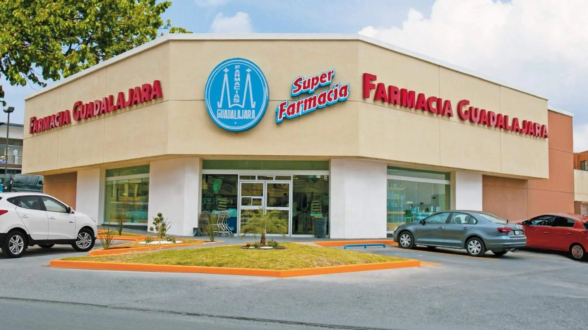 Farmacias Guadalajara, de su sitio Web